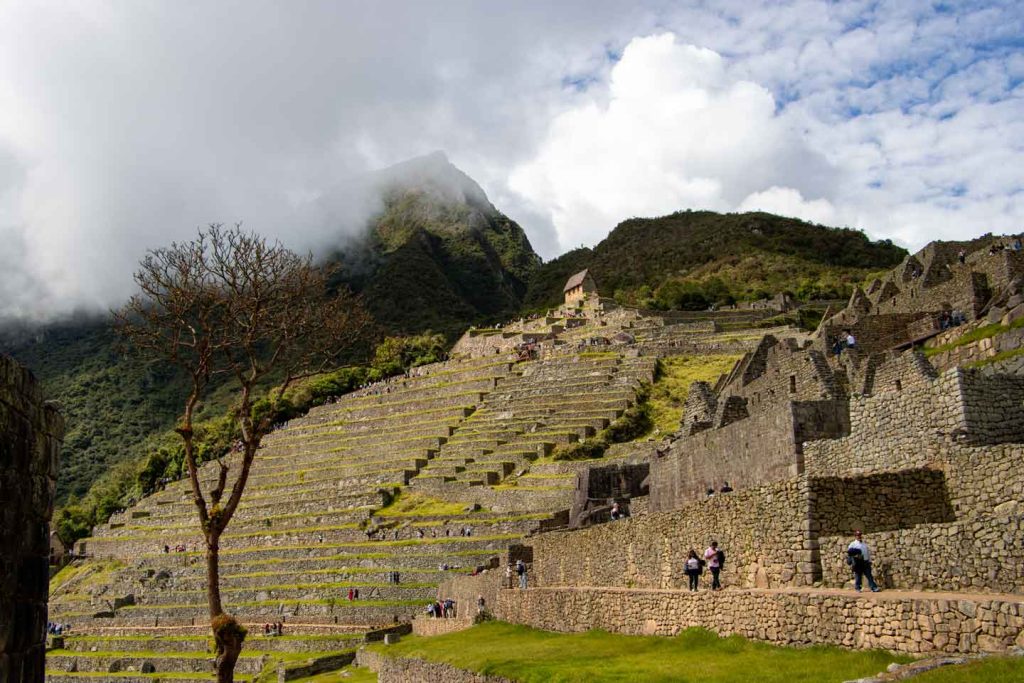 Machu Picchu terraces