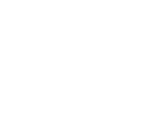 MT Picchu