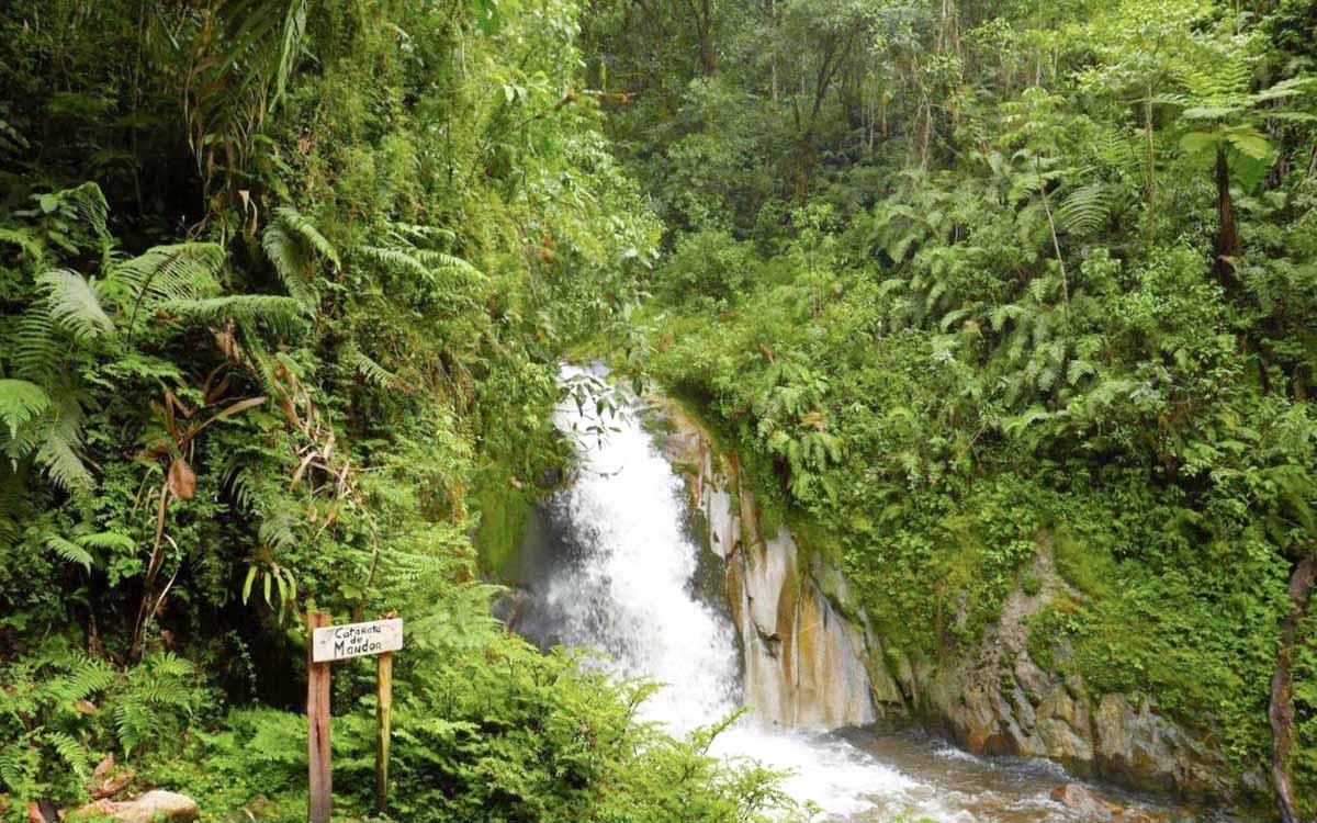 Mandor Gardens Aguas Calientes